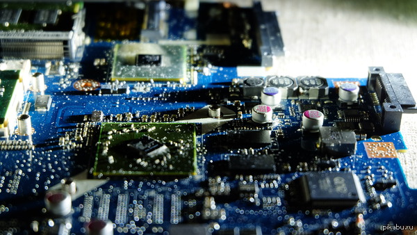 �������� ���, ���� ���������, ������ ����� �������.