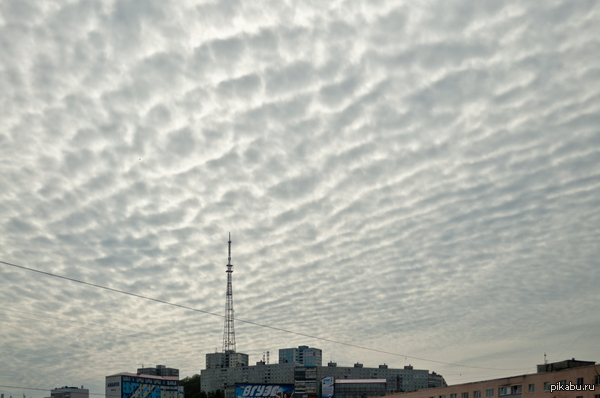 ������ �� ������������