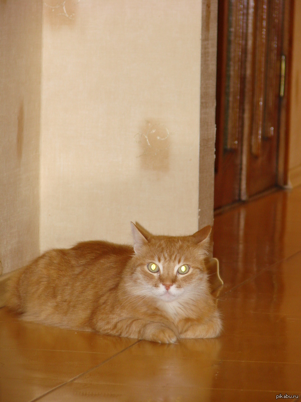 ��� ����� ��������)))