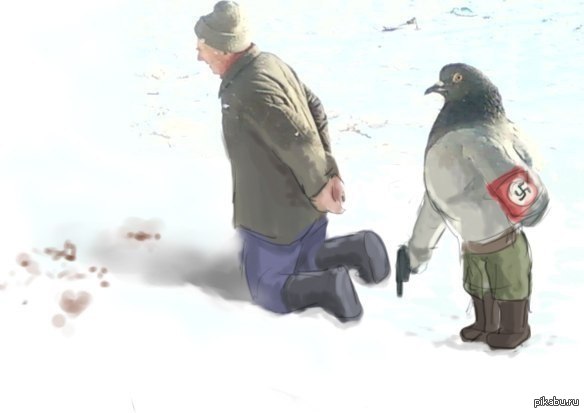 Курящий голубь