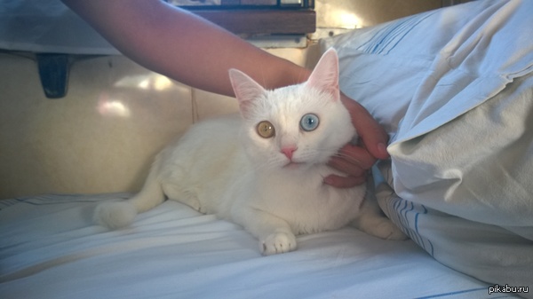 ������� � ������