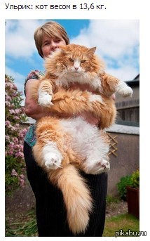 ������, �������� ������ ���������!