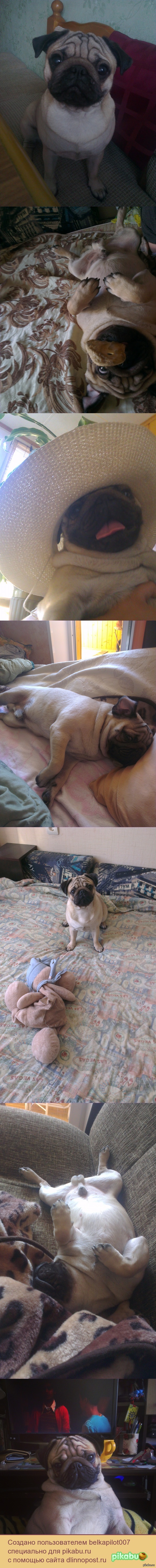 ��� ����� ������� ������