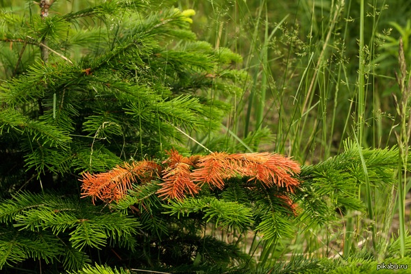 ����� ���� ����� ������ � �������� ������. ������ ����������������, ������������ :)