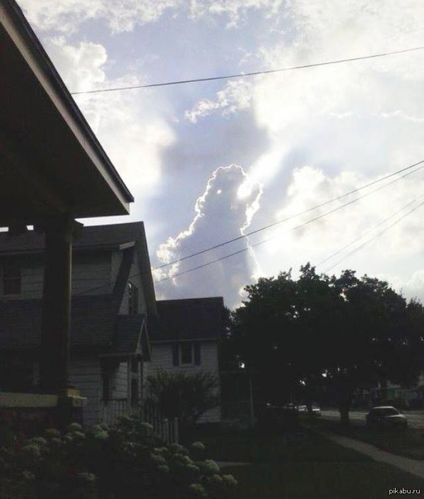 �������� ��������