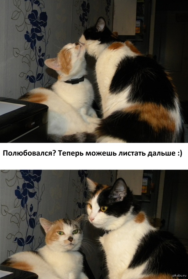 �������� ������