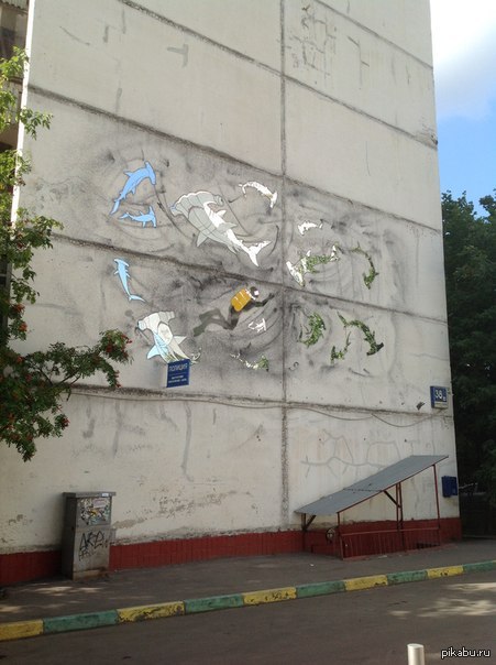 Зеркальные акулы.