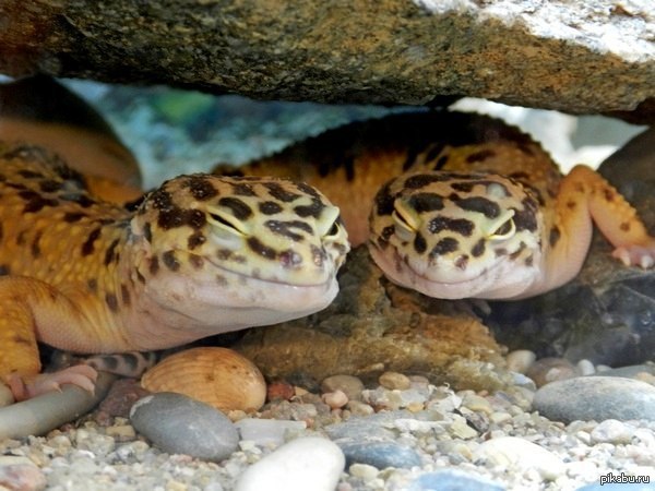 ����� � ������ ���-�� ��������