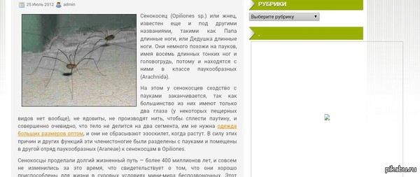 Боги маркетинга