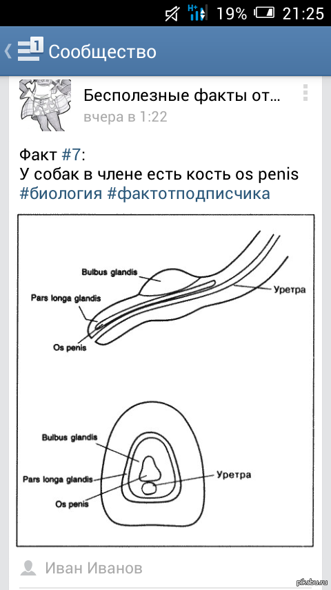 ������ �� ��...