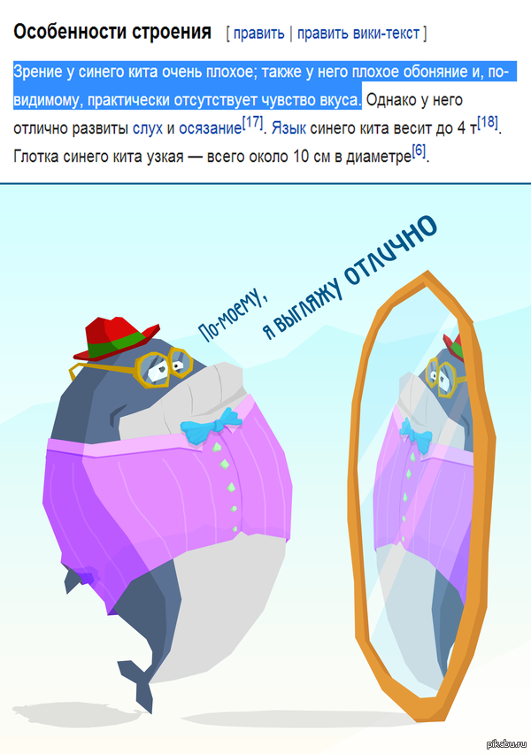 ������ ����