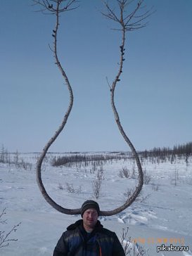 Ну ооочень длинная вахта...