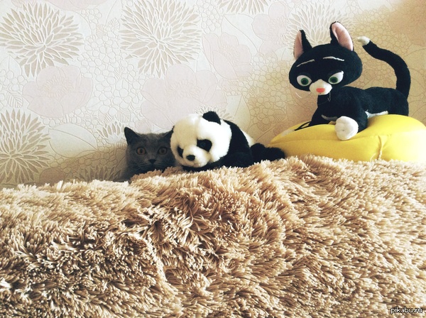 ������ ���� � ������