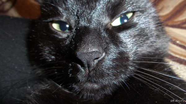 ����� ���� �����.