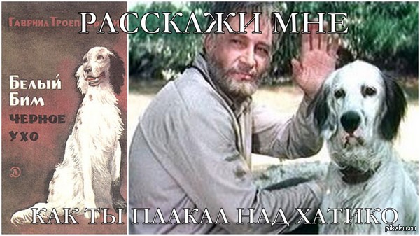 �� ��� ��������...