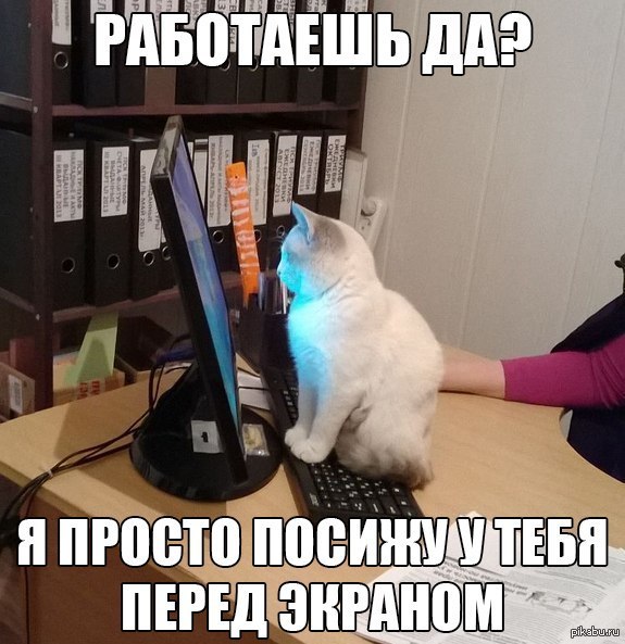 Работать Будем Фото