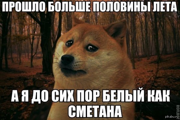��� ������ � ����� ����