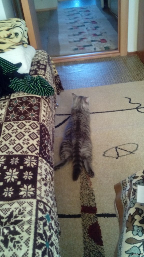 ������ ��� �������� �����