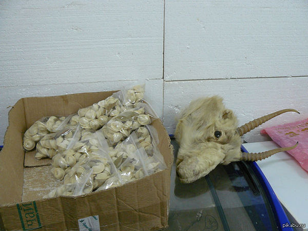 Остались от козлика ....... только рожки Когда пельмени лопать, то вкусно, а как кусок мяса показать так сразу фу-фу-фу