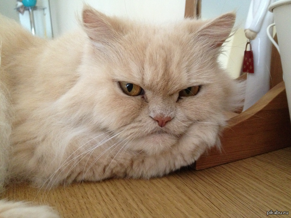 ����� ��� �� ��..