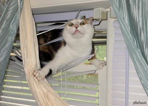 ������� �� �������� �������, ��� �������� ������ ^^