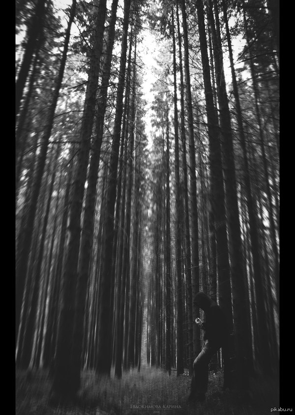 ��������� ���������� �� ������� =)