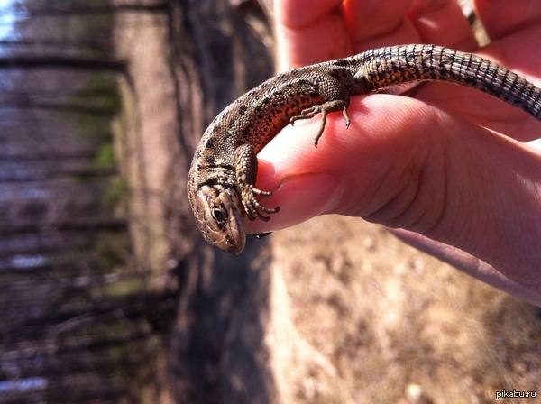 ��������...