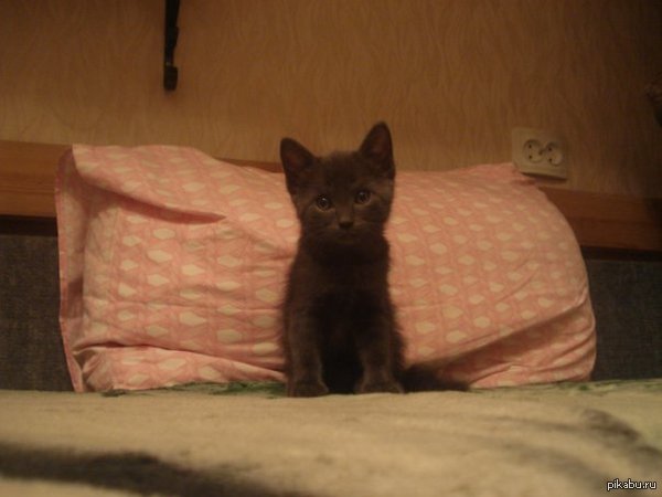 Чем богаты , тем и рады