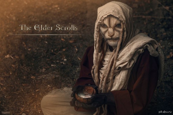 Косплей каджита