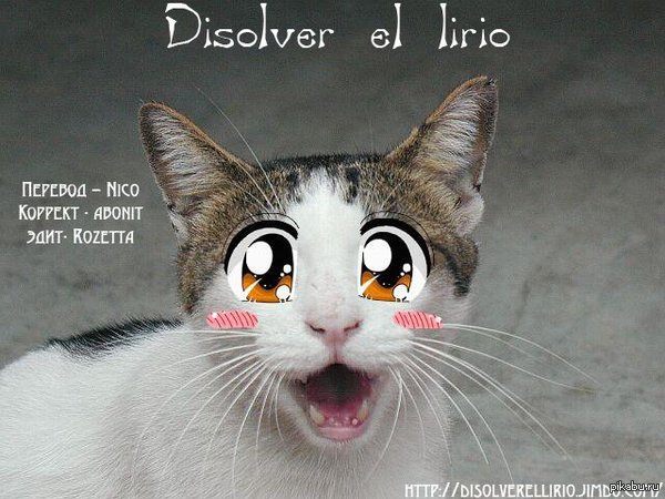 ��� ��������