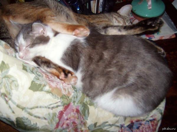 ��� � ����� =))