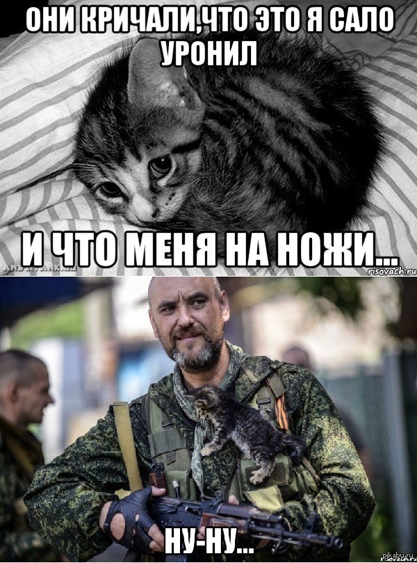 ���������� - �����������