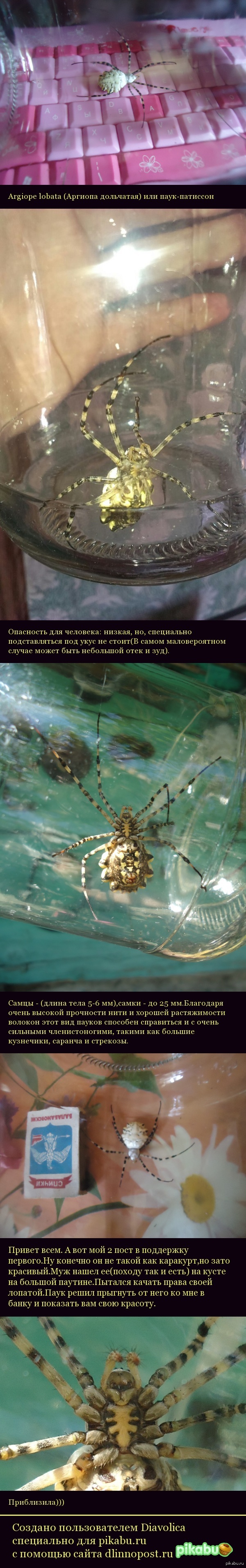 Вот наша 2ая находка!