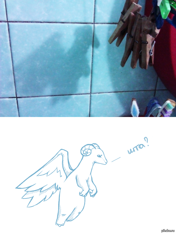 �� ������ ���� ���������� � ������ �������