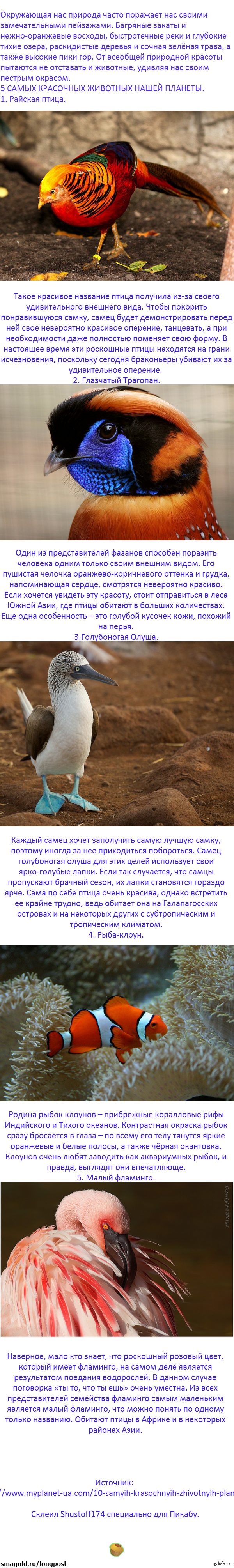 5 ��������� �������� �������.