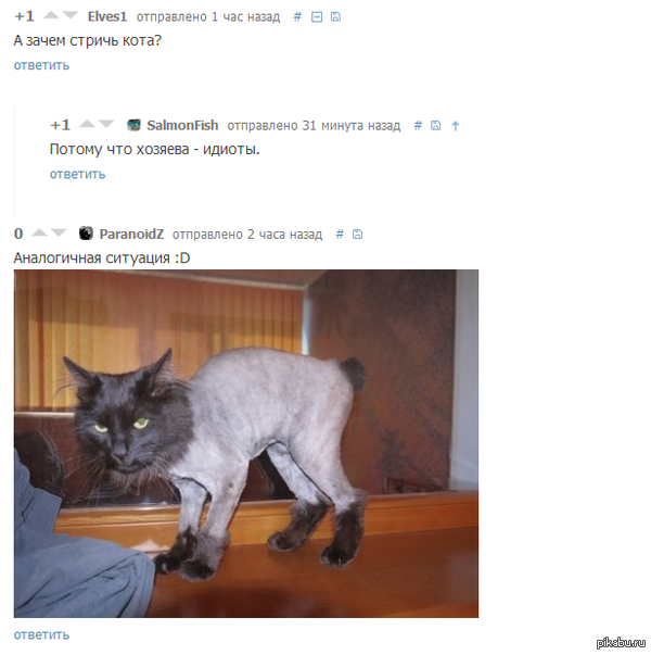 �� ������.