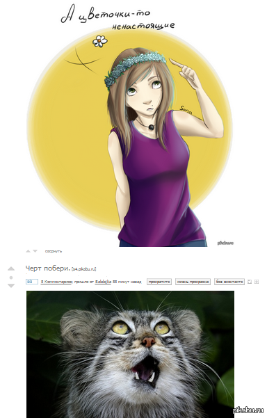 ���� ������� �����