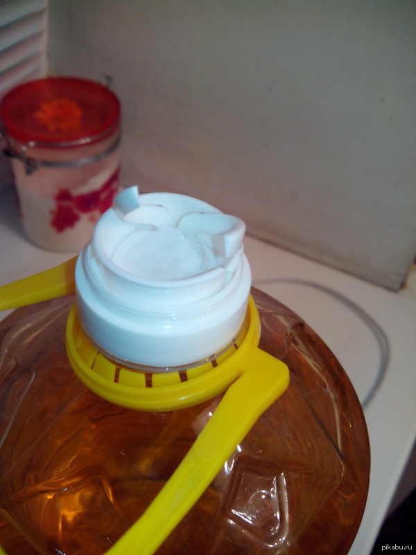 � ����������