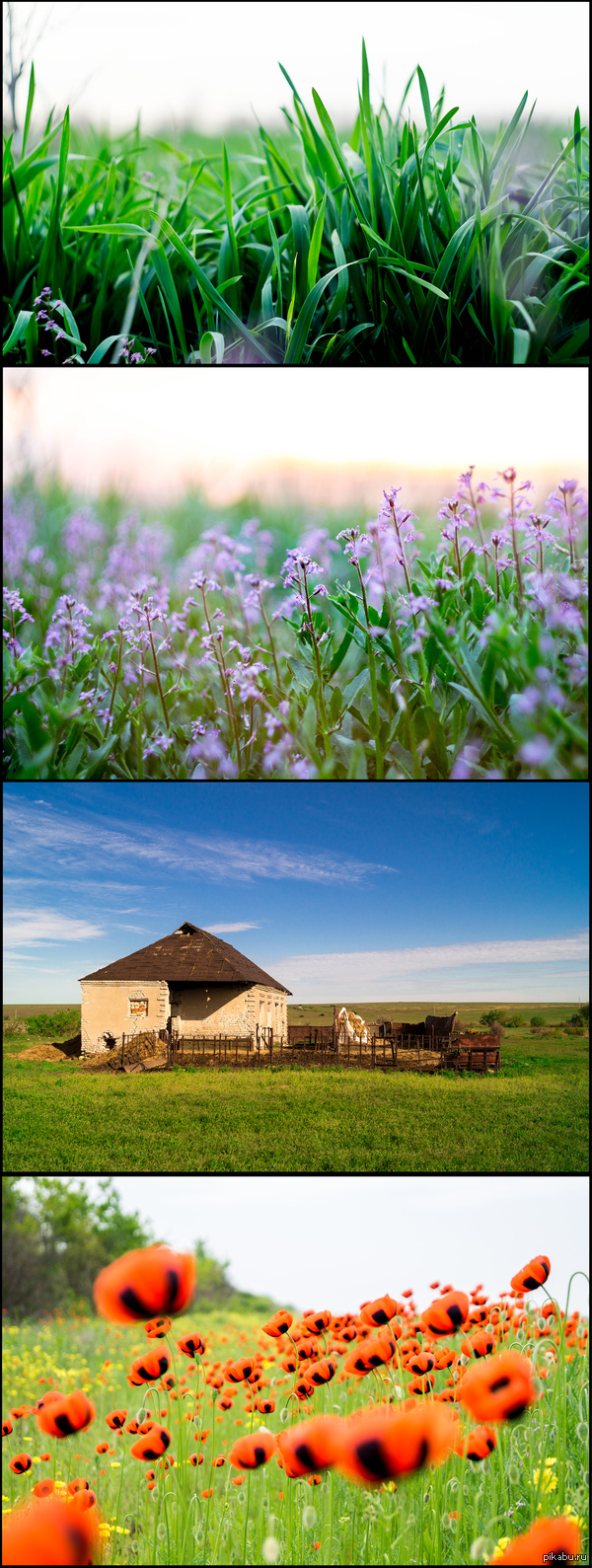 �������, ������ ������.