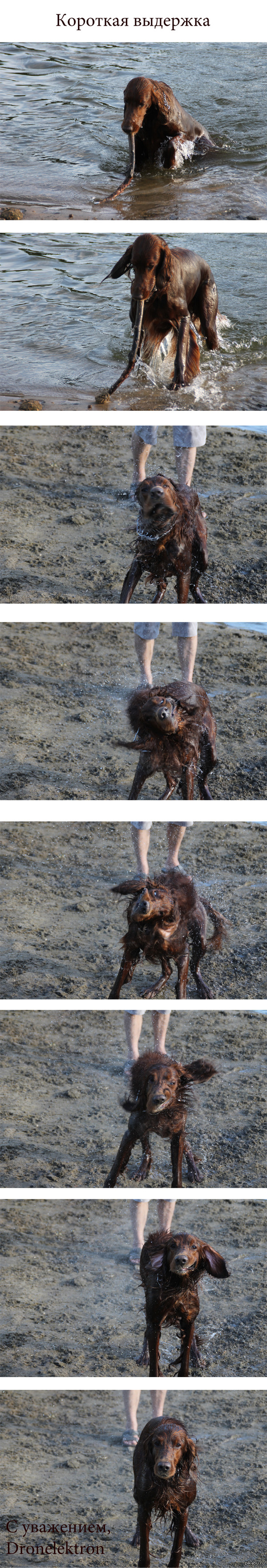 Отряхнулась на короткой выдержке))