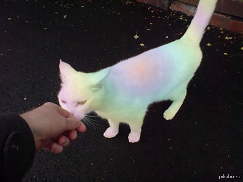 �������� ������