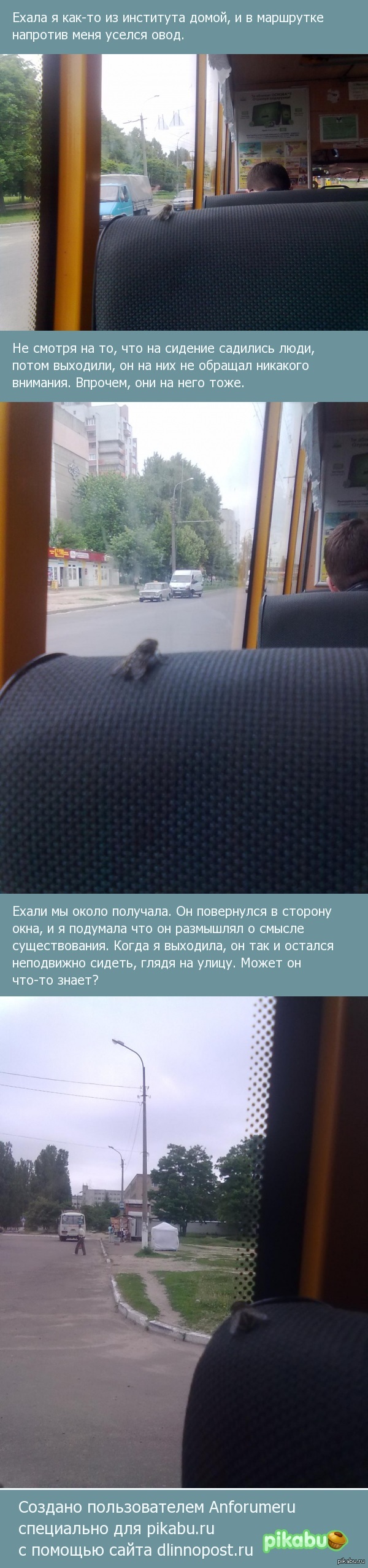    ,   ...