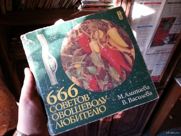 666 советов овощеводу-любителю