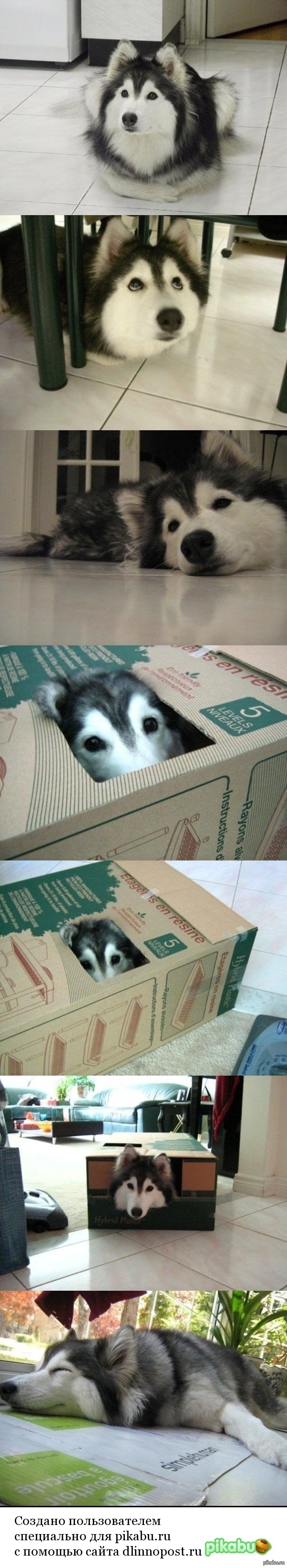 ����� � ���, ������� ��� �������� �������, � �� ������ ������� �������, ��� �� �����.