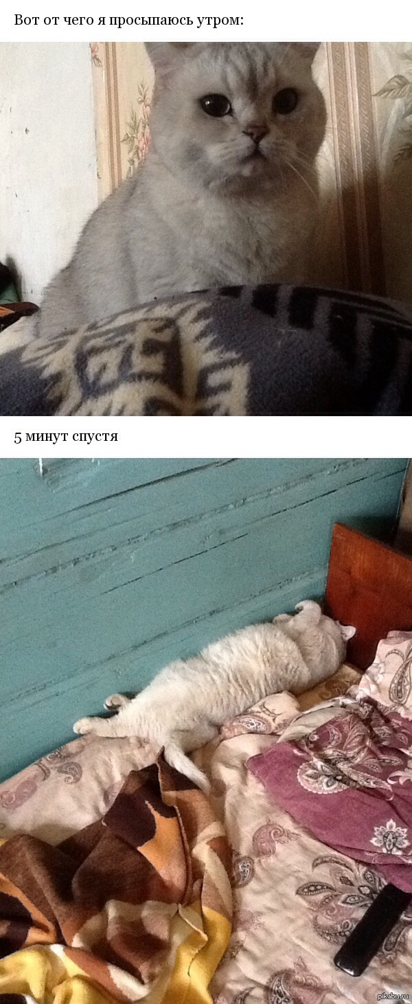 Утро начинается не с кофе