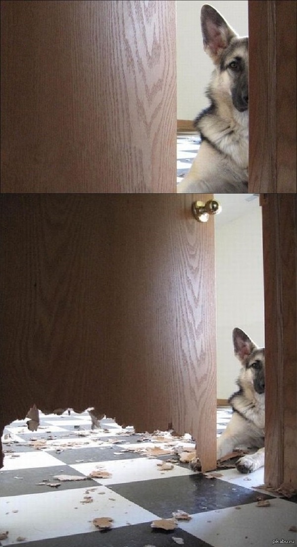 , ,   