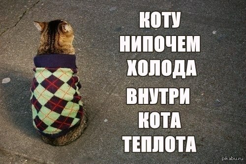 � ������