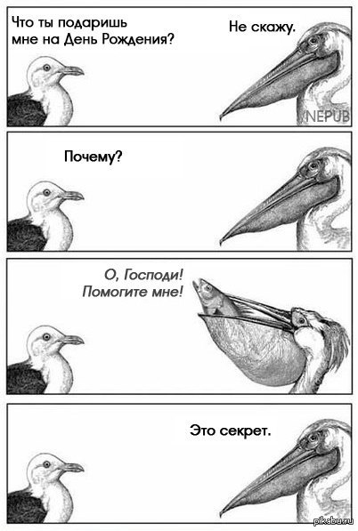 День рождения | Пикабу
