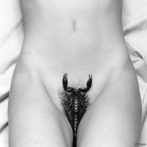 Do you like scorpions?)) - NSFW, Naked girl, Scorpion, Erotic