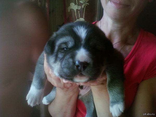 ������� � ������ ����, ������. ��.